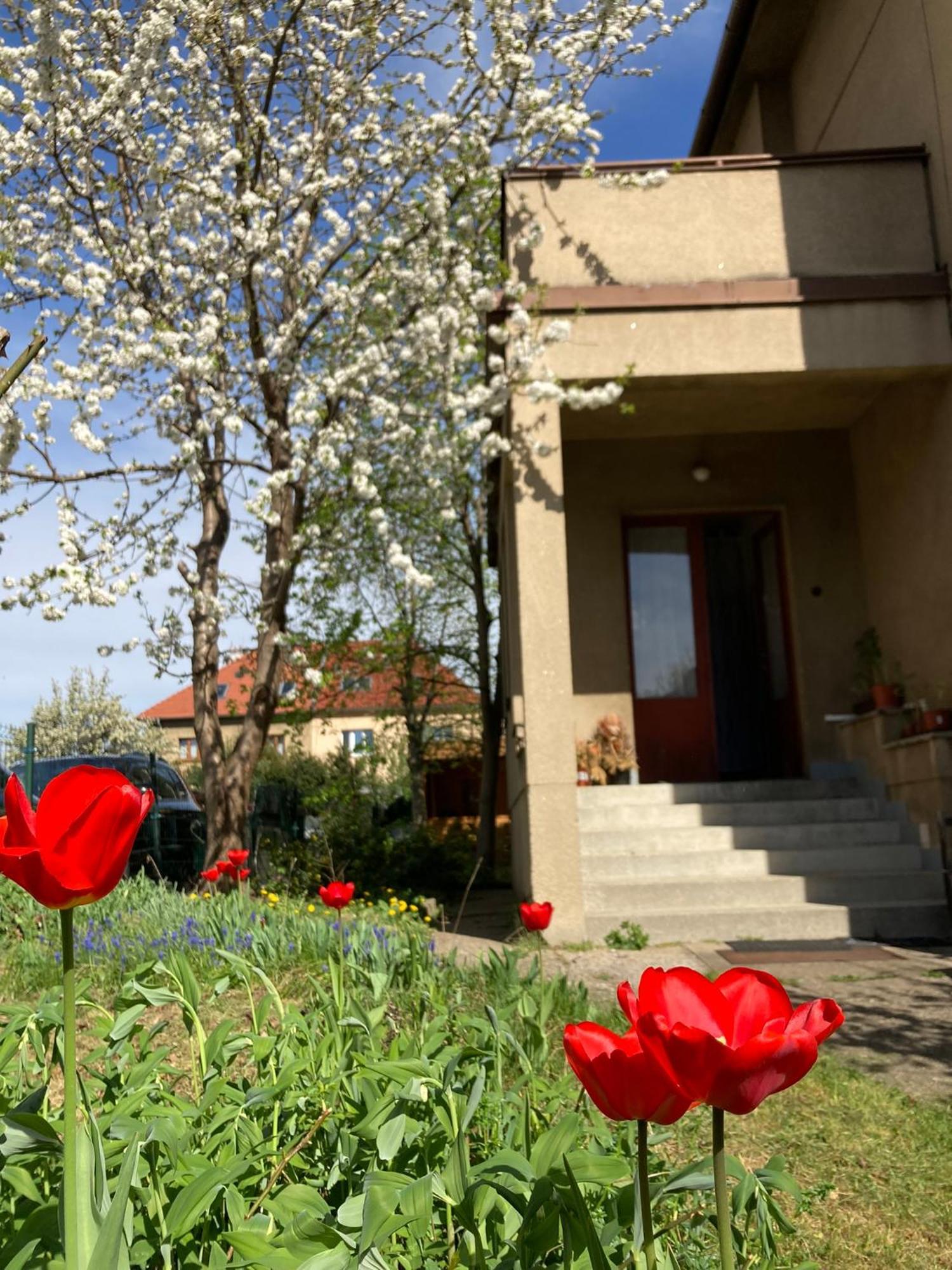 Spacious Apartment - Free Parking! Prague Ngoại thất bức ảnh
